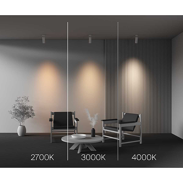 Потолочный светильник Maytoni Technical Ceiling FOCUS LED C055CL-L20W2.7-3-4K-M-W