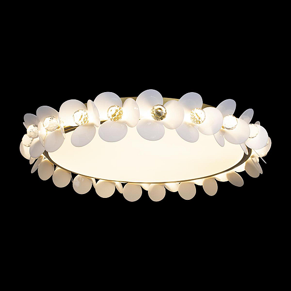 Потолочный светодиодный светильник Loft It Bride 10176