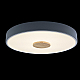 Потолочный светодиодный светильник Loft IT Axel 10003/24 grey