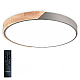 Потолочный светильник Natali Kovaltseva Scandinavian LED LAMPS 81184