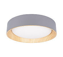 Потолочный светильник Loft IT Coin 10202 Grey