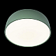 Потолочный светодиодный светильник Loft IT Axel 10201/480 Green