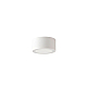 Потолочный светильник Crystal Lux CLT 074C WH