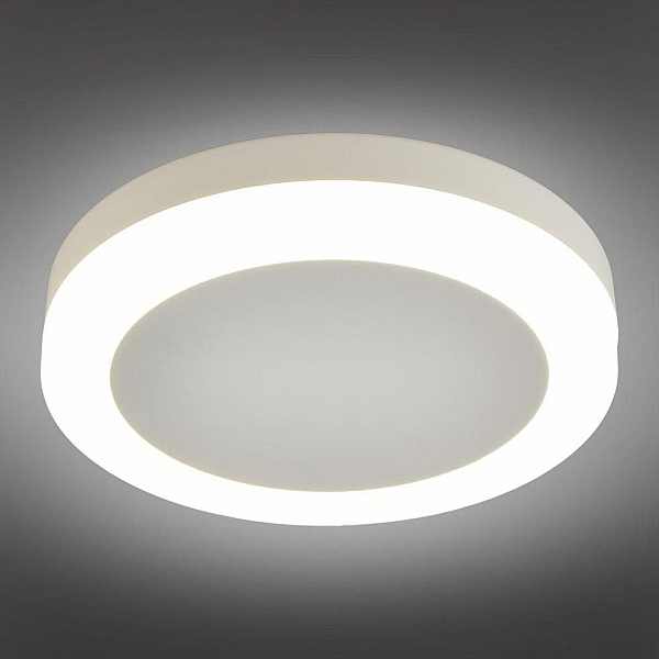 Потолочный светодиодный светильник Omnilux Valles OML-102109-06