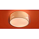 Потолочный светильник Freya Classic Riflesso FR2055CL-03CH