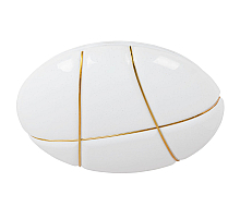Потолочный светодиодный светильник Arte Lamp Biscotti A2677PL-72GO