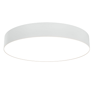 Потолочный светильник Maytoni Technical Zon C032CL-L48W3K