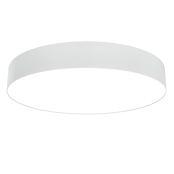 Потолочный светильник Maytoni Technical Zon C032CL-L48W3K