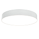 Потолочный светильник Maytoni Technical Zon C032CL-L48W3K