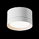 Потолочный светильник Maytoni Technical Hoop C086CL-GX53-SRD-W