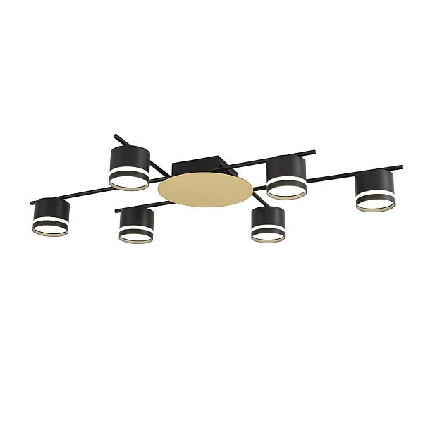 Светильник потолочный Lumion BENUA 8304/6C