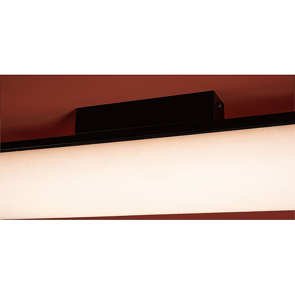 Потолочный светильник Freya Modern Even FR5625CL-L20B