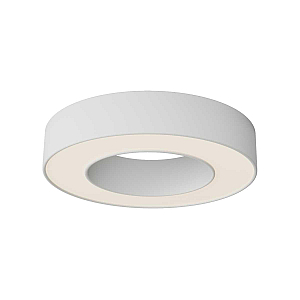 Потолочный светильник Maytoni Technical Lua C093CL-24W3K-W