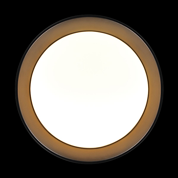 Потолочный светильник Loft it Coin 10202 BB