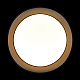 Потолочный светильник Loft it Coin 10202 BB