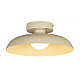 Потолочный светильник Myfar Bjorn MR2674-1CL