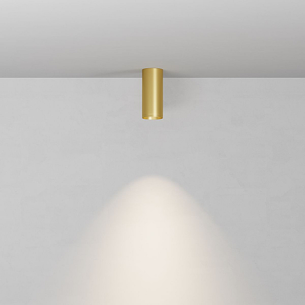 Потолочный светильник Maytoni Technical Focus C010CL-01MG-N