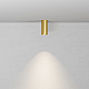 Потолочный светильник Maytoni Technical Focus C010CL-01MG-N