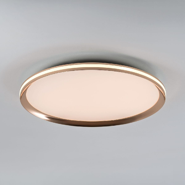 Потолочный светильник LED4U L3020-500 GD Потолочный светильник LED4U L3020-500 GD