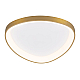 Потолочный светодиодный светильник Citilux Genka Smart CL756A142