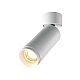 Потолочный светильник Maytoni Technical C055CL-L12W2.7K-Z-W