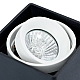 Потолочный светильник Arte Lamp A5655PL-1BK