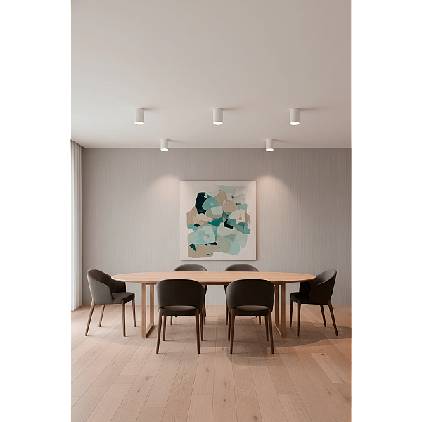 Светильник потолочный Crystal Lux CLT 084C WH