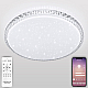 Потолочный светодиодный светильник Natali Kovaltseva Led Lamps 81077