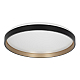 Потолочный светильник Citilux CL753511G