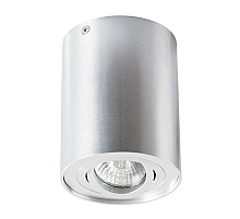 Потолочный светильник Arte Lamp A5644PL-1SI