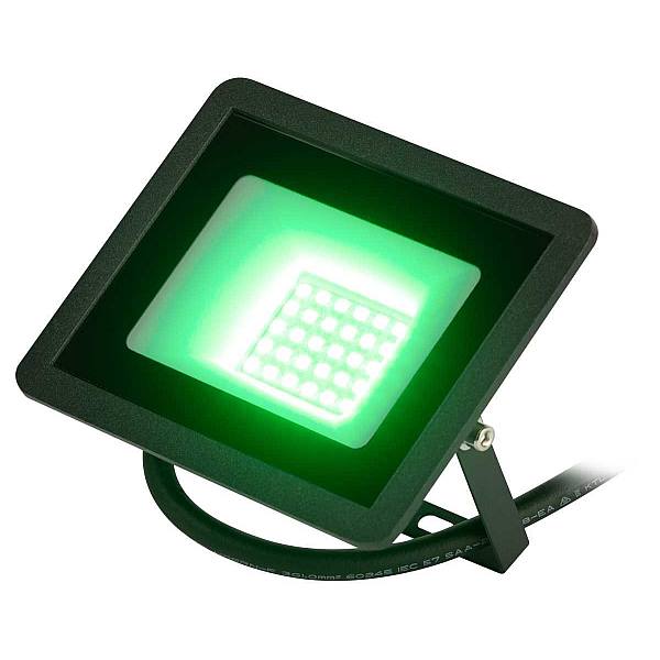 Прожектор светодиодный уличный ЭРА LPR-025-GREEN-030 Б0064672