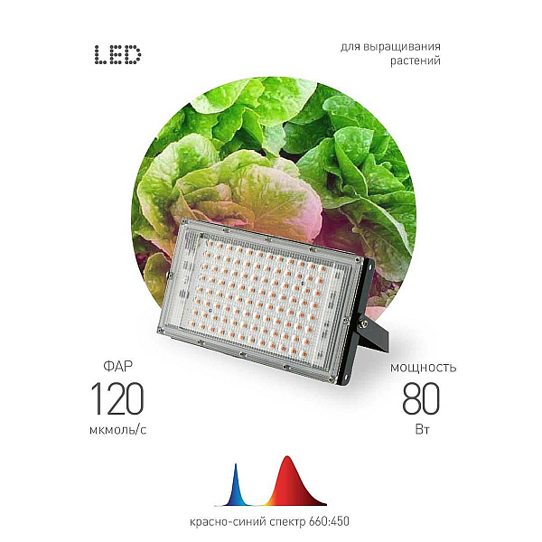 Прожектор светодиодный для растений ЭРА 50W 1310K Fito-80W-RB-Led-Y Б0053082