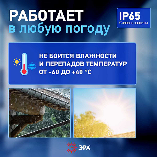 Прожектор светодиодный уличный ЭРА PRO LPR-062-0-65K-02 Б0064648
