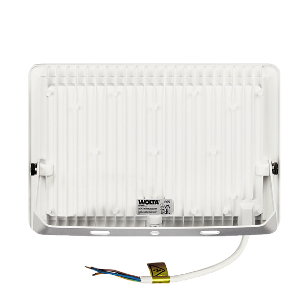 Прожектор WOLTA WFL-100W/06W