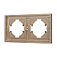 Рамка пластиковая на 2 поста Arlight FRM-TENDO-PL-2-GD 053842