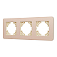 Рамка на 3 поста алюминиевая Arlight FRM-AKIRY-SFAL-3-GD 049742