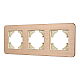 Рамка на 3 поста алюминиевая Arlight FRM-AKIRY-AL-3-GD 049730