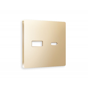 Лицевая панель для розетки 2USB тип A+C Ambrella Volt Alfa AP6110