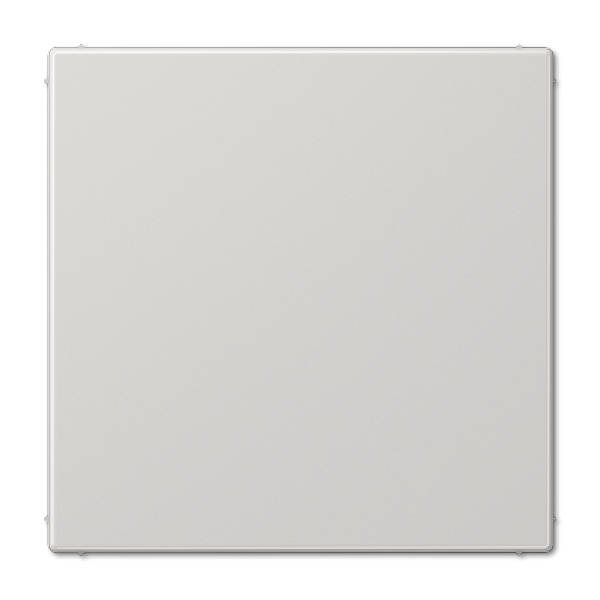 Заглушка Jung LS990 LS994BLG