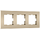 Рамка на 3 поста Werkel Slab (шампань софт) W0032911 4690389218422 a071625