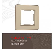 Рамка одноместная Arte Milano 502.16-1.shampan