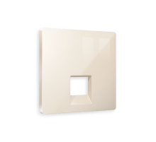 Лицевая панель для компьютерной/телефонной розетки RJ-45/RJ-11 Ambrella Volt Alfa AP3120