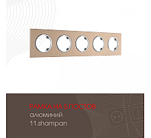 Рамка пятиместная Arte Milano 502.11-5.shampan
