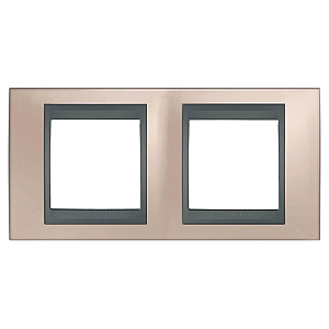 Рамка 2-постовая Schneider Electric Unica Top MGU66.004.296