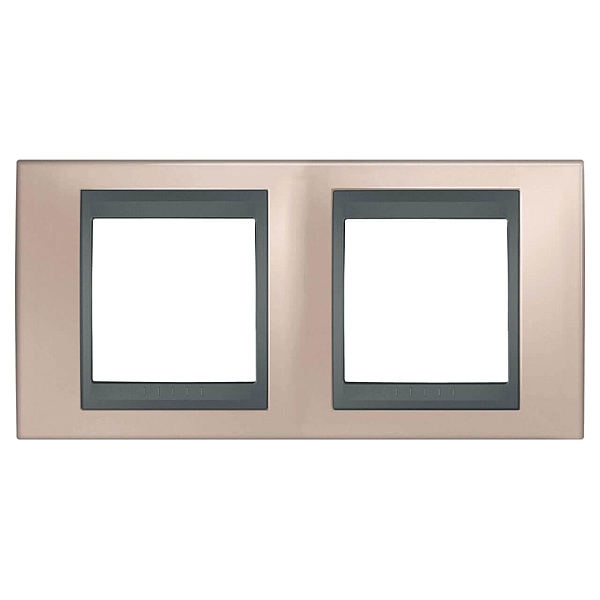 Рамка 2-постовая Schneider Electric Unica Top MGU66.004.296