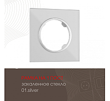 Рамка одноместная Arte Milano 502.01-1.silver
