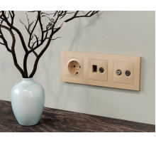 Лицевая панель Alfa (Шампань) для TV двойной розетки Quant Ambrella Volt AP6133