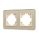Рамка на 2 поста стеклянная Arlight FRM-OMALI-SFGS-2-GD 049711