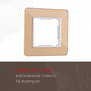 Рамка одноместная Arte Milano 503.14-1.shampan