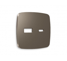 Лицевая панель для розетки 2USB тип A+C Ambrella Volt Omega OP6410